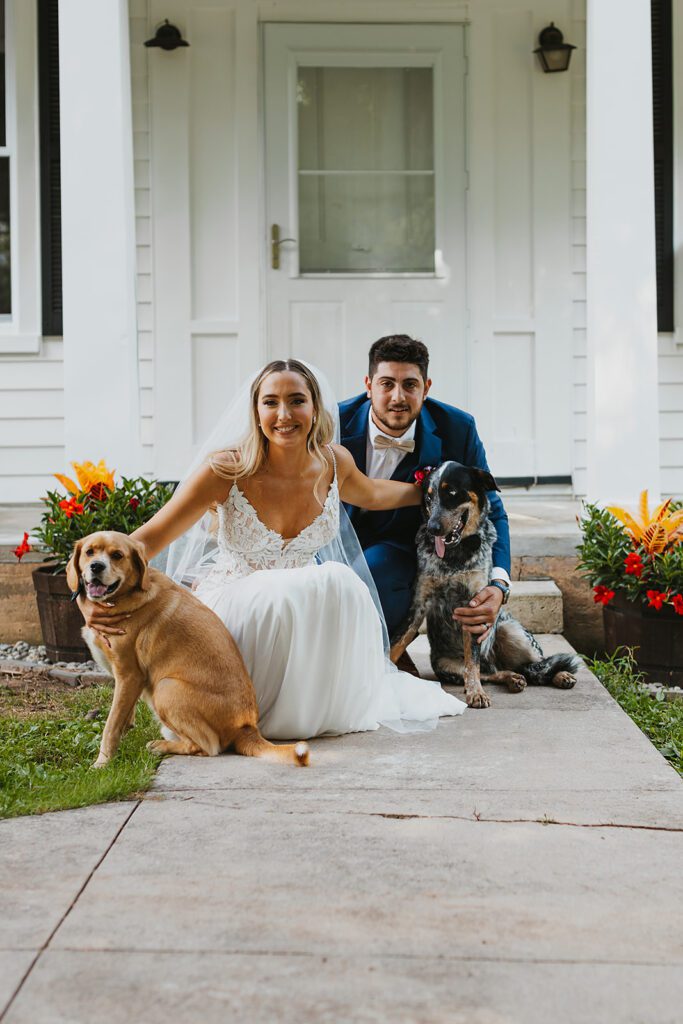 Bride and groom and their dogs